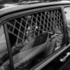 Window Accents
